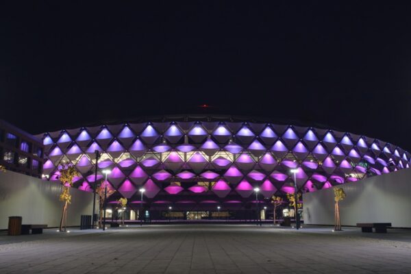 Hazza-Bin-Zayed-Stadium-6-min